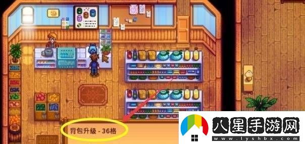 星露谷物語背包擴大方法有哪些