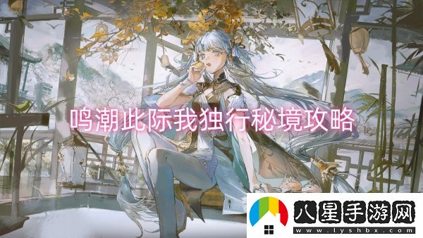 鳴潮此際我獨(dú)行秘境攻略-鳴潮此際我獨(dú)行秘境玩法