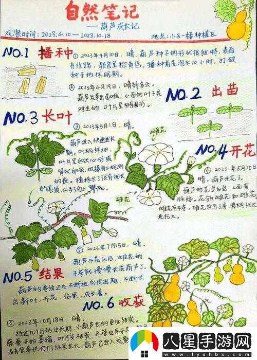 寶寶對(duì)準(zhǔn)坐下來(lái)自己弄的意義