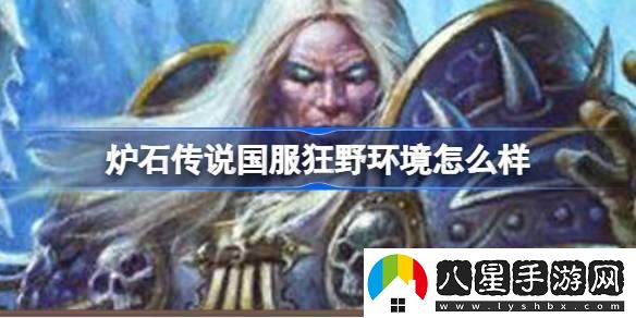 爐石傳說國服回歸狂野環(huán)境介紹 爐石傳說國服回歸狂野環(huán)境介紹