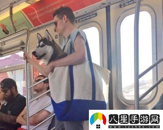 炎炎夏日再窮不能沒空調(diào)妹子驚嘆你連風(fēng)油精都不如