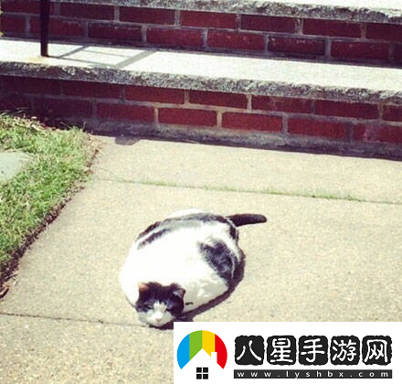 炎炎夏日再窮不能沒空調(diào)妹子驚嘆你連風(fēng)油精都不如