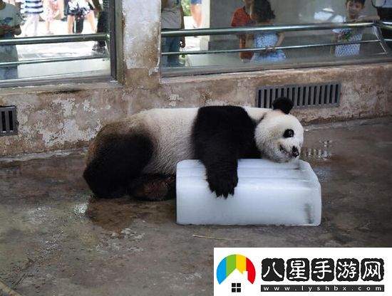 炎炎夏日再窮不能沒空調(diào)妹子驚嘆你連風(fēng)油精都不如