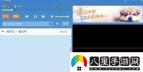 YY伴侶的詳細使用過程講解