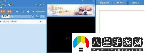 YY伴侶的詳細使用過程講解