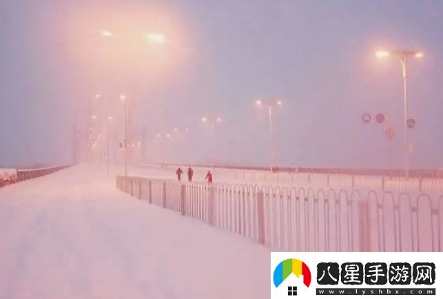 精華液一區(qū)二區(qū)區(qū)別的全面解析與購物指南