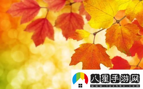 提升搜索可見度