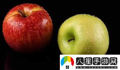 南方公園完整破碎中弗里曼通關(guān)攻略與挑戰(zhàn)實(shí)用技巧