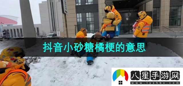 抖音小砂糖橘是什么梗-廣西小砂糖橘梗的意思介紹