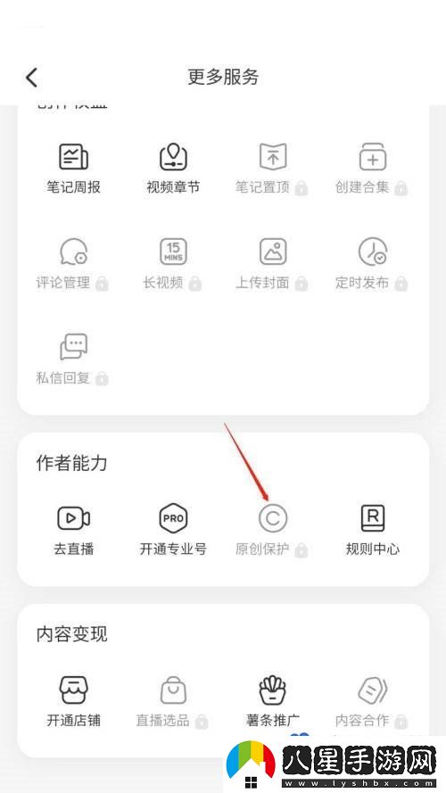 小紅書原創(chuàng)保護(hù)怎么申請(qǐng)-原創(chuàng)保護(hù)申請(qǐng)方法