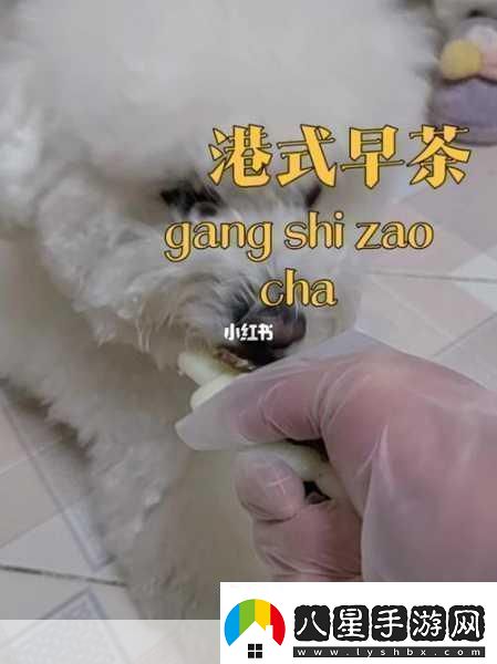 人狗膠配方大全免費(fèi)天