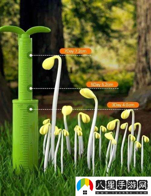 扦插 BB 有什么好處：科學(xué)種植，健康成長