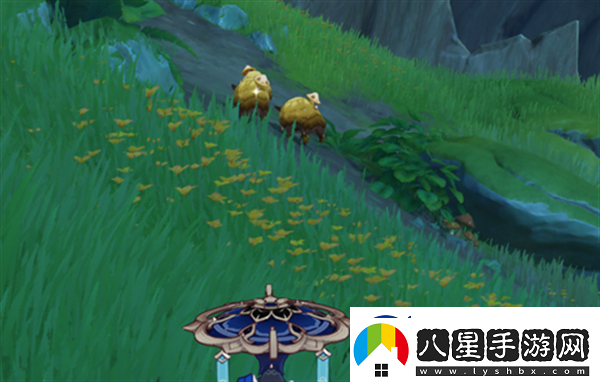 原神與珍稀之鳥的短暫邂逅任務完成技巧