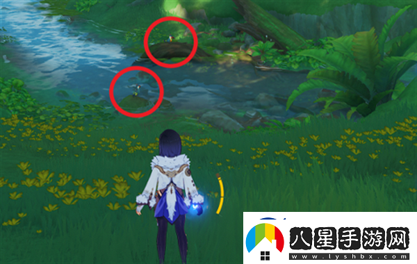 原神與珍稀之鳥的短暫邂逅任務完成技巧