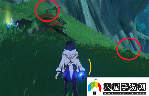 原神與珍稀之鳥的短暫邂逅任務完成技巧