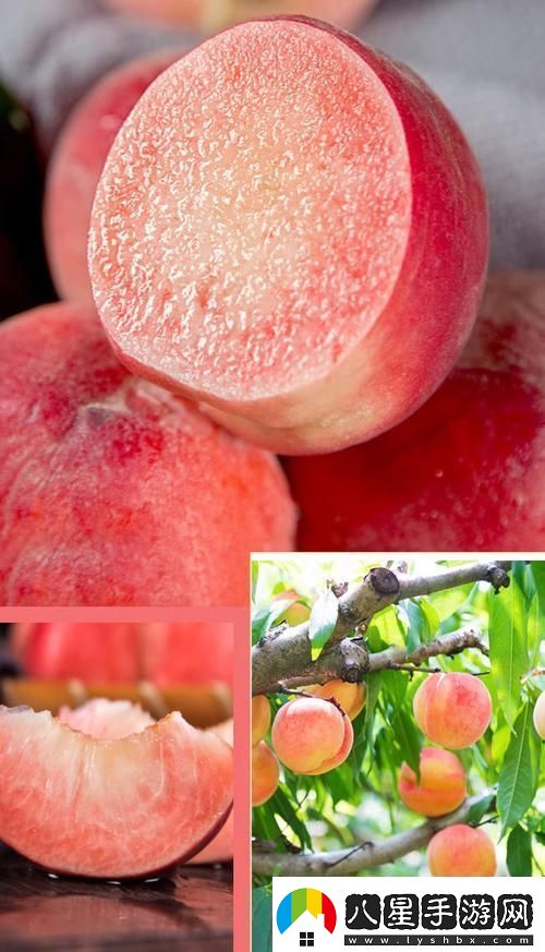 桃醉意國界的新晉網紅！