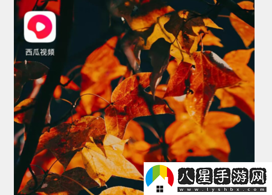 西瓜視頻最新網(wǎng)站-西瓜視頻網(wǎng)頁版