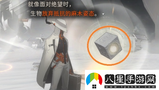 新月同行空洞迷宮怎么收集