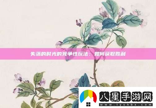 失落的時(shí)光的競爭性玩法