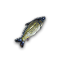 我的俠客極品魚(yú)露在哪獲得我的俠客極品魚(yú)露獲取位置