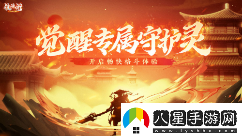 正版IP授權(quán)