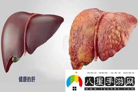 老公每天吃我小花園會(huì)傷肝嗎