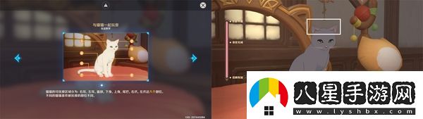 原神茸茸城堡大喵險第三關(guān)怎么過