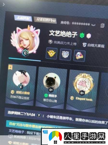 CSGO暴躁妹妹