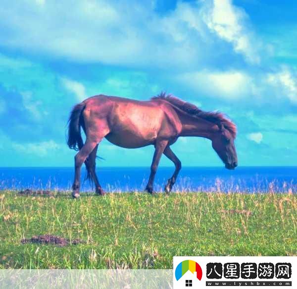 探秘新島八重與御魂文化