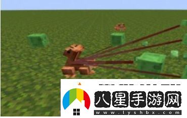 我的世界青蛙有什么用