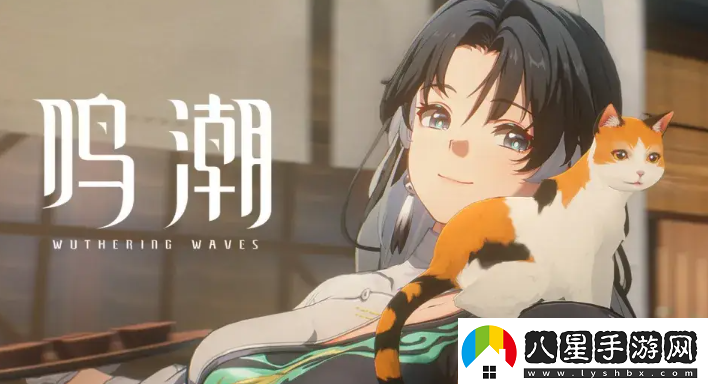 鳴潮平民預(yù)抽卡聲骸選哪個(gè)