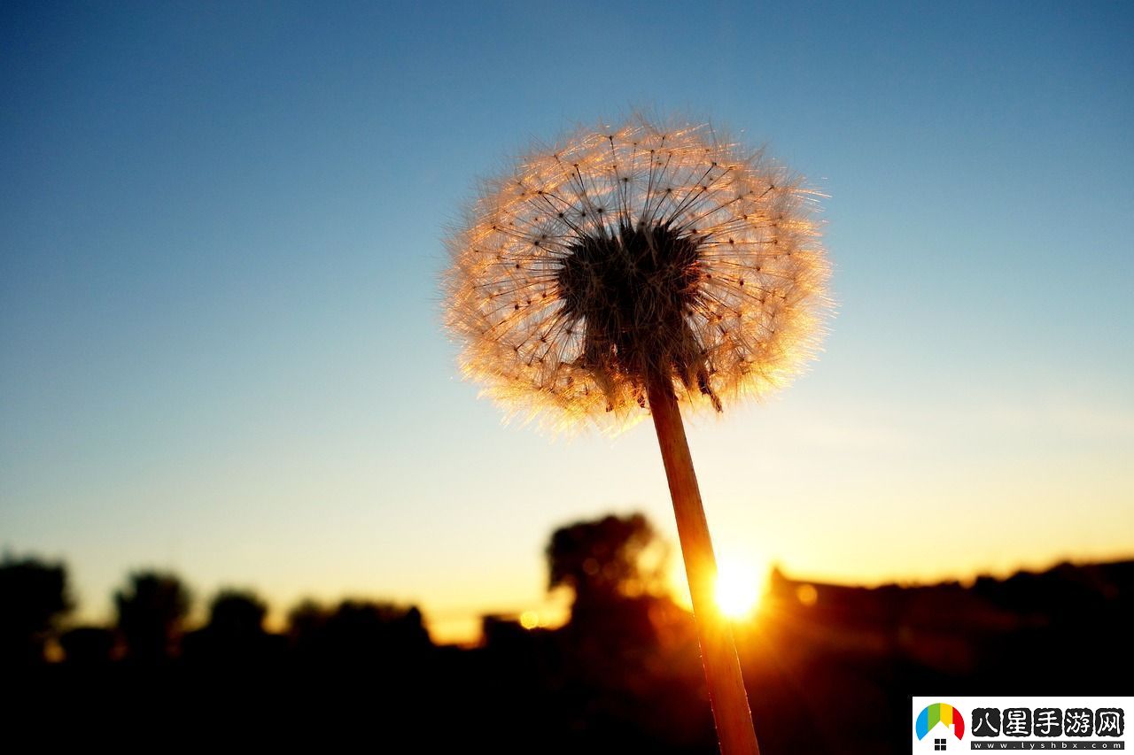 看鏡子里的我怎么c你