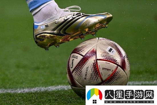 球迷沖賽場導(dǎo)致國足輸球