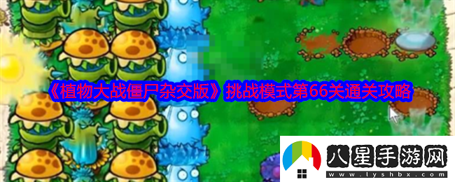植物大戰(zhàn)僵尸雜交版挑戰(zhàn)模式第66關(guān)怎么過(guò)關(guān)