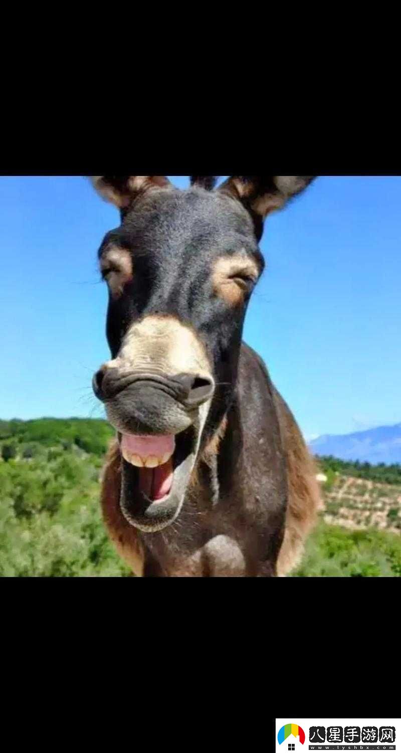 傻大壯長的驢一樣的東西