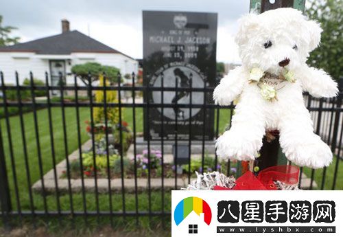 杰克遜逝世五周年各地歌迷紀念方式各有特色