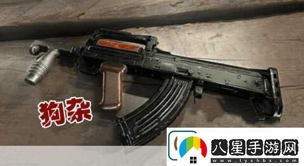 絕地戰(zhàn)場(chǎng)新紀(jì)元AUG步槍震撼降臨Gorza光芒黯淡