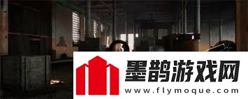 潛行者2輻射狀態(tài)如何解除潛行者2輻射效果治療與應(yīng)對(duì)方法