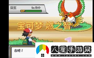 口袋妖怪2.0.3半漢化攻略大全