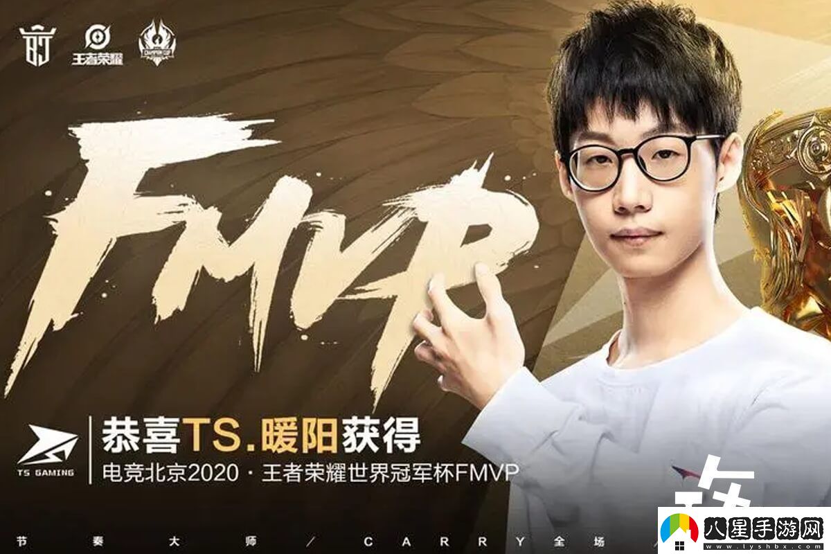 王者榮耀fmvp皮膚含義說明