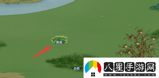 桃源記食物不夠怎么辦