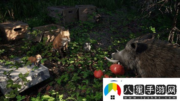 野豬也有模擬器