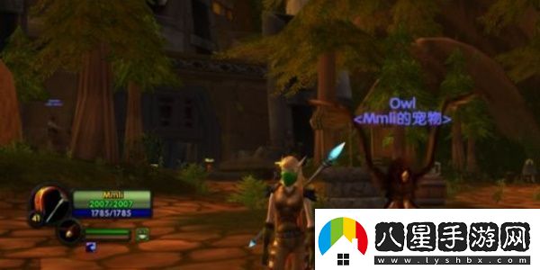 魔獸世界烏龜服獵人選什么寶寶