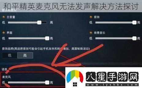 和平精英麥克風(fēng)無(wú)法發(fā)聲解決方法探討