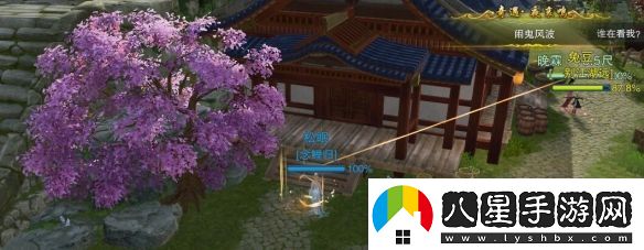 劍網(wǎng)3夜哀鳴寵物奇遇任務(wù)攻略