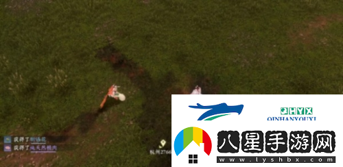 逆水寒手游仙居原動物好感度怎么提升