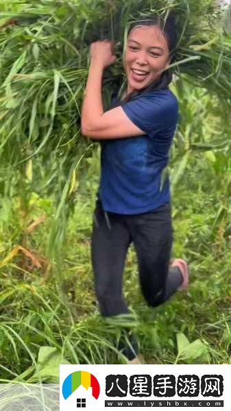 草坪帝國中文版來襲