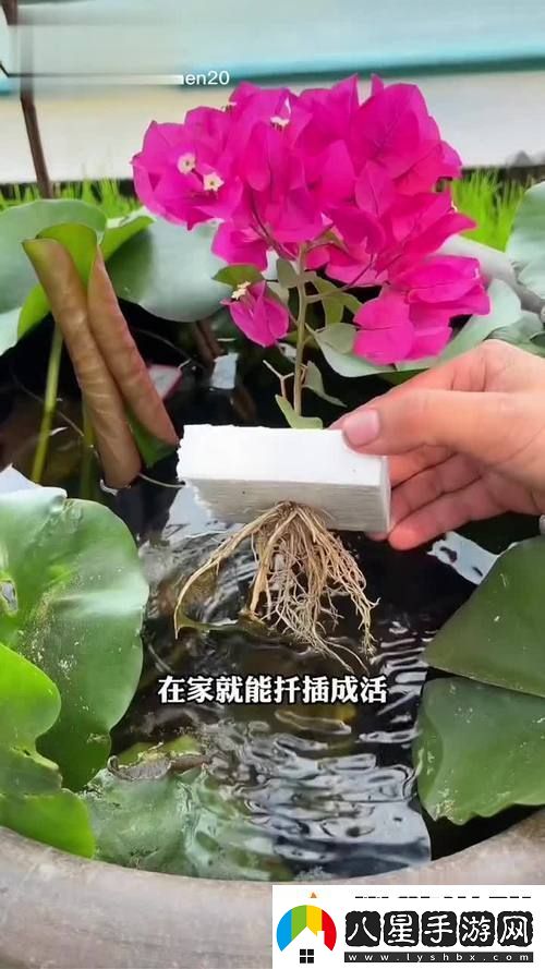 新探討坐著扦插BB有什么好處的多重優(yōu)勢