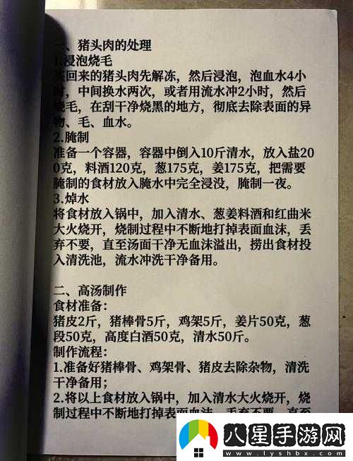 探索薩布茲燉肉獨(dú)特魅力及其傳統(tǒng)制作秘籍與技巧詳解