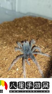 鐳明閃擊手游評(píng)測(cè)和截圖2022年最新綜述